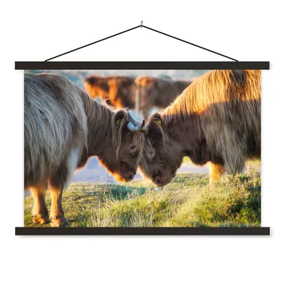 Produktbild von MuchoWow® Textilposter Schottische Highlander - Tiere - Sonne 120x80 cm mit schwarzem Rahmen - Wanddeko