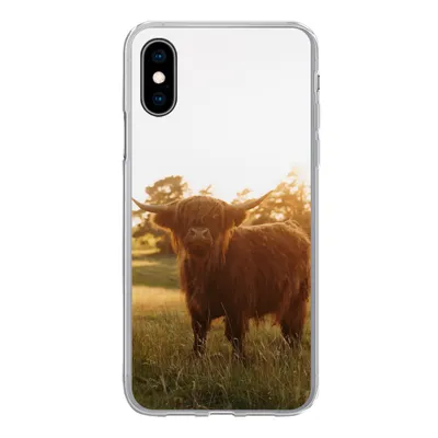 Produktbild von MuchoWow® Handyhülle Schutzhülle Hülle für iPhone X Schottischer Hochländer - Gras - Sonne Silikon Softcase Handy Hülle - Handyhülle