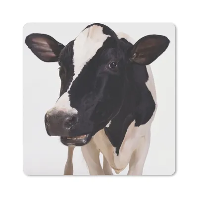 Produktbild von MuchoWow® Mauspad Mousepad Kuh - Weiß - Tiere - Schwarz 30x30 cm - Mousepads - Maus Mat - Pad - Mausunterlage - Gaming