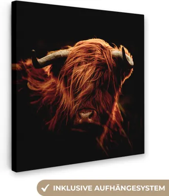 Produktbild von MuchoWow® - Leinwandbilder - Schottischer Highlander - Kuh - Hörner - Porträt - Tiere, Wandbild, Wanddeko Bilder Wohnzimmer, 50x50 cm