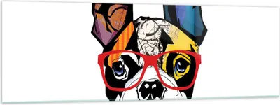 Produktbild von Bilder auf glas - Hund Brille Bunt Bulldogge - 160x50cm - Glasbilder - Wandbilder - Kunstdruck - zum Aufhängen bereit - Wanddekoration aus Glas - Glas Bilder - Wandbild auf Glas - GAB160x50-3206
