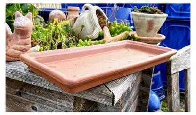 Produktbild von Untersetzer/Teller aus Terrakotta für Blumenkästen mit 52 cm