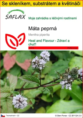 Obrázek produktu pro SAFLAX Kultivační sada - máta peprná - Mentha piperita - 300 Semena - S mini skleníkem, pěstebním substrátem a 2 květináči