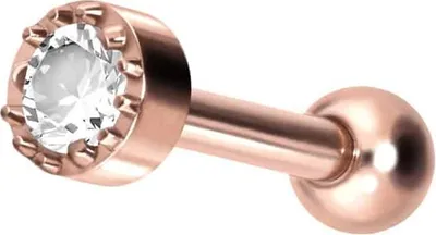 Produktbild von Ohrpiercing Titan Ohrpiercing EINGEFASSTER KRISTALL