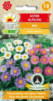 Zdjęcie produktu dla Aster Alpejski Mix Nasiona Kwiatów Toraf - 419