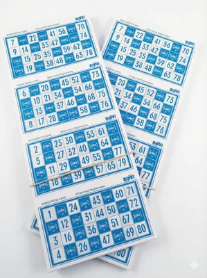 Productafbeelding van 640 bingokaarten