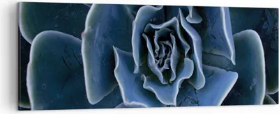 Produktbild von Bild auf Leinwand - Leinwandbild - Einteilig - Blau Kaktus Blume - 140x50cm - Wand Bild - Wanddeko - Wandbilder - Leinwanddruck - Bilder - Wanddekoration - Leinwand bilder - Wandbild - AB140x50-5008