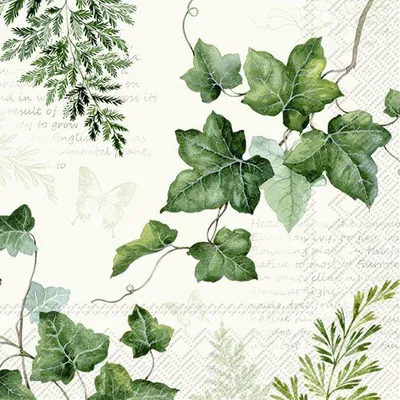 Obrázek produktu pro Ubrousky 33 x 33 cm – ELWIN krémové