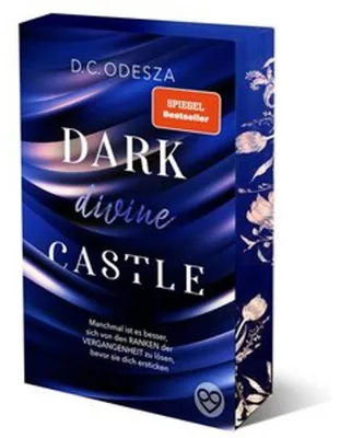 Image de DARK divine CASTLE