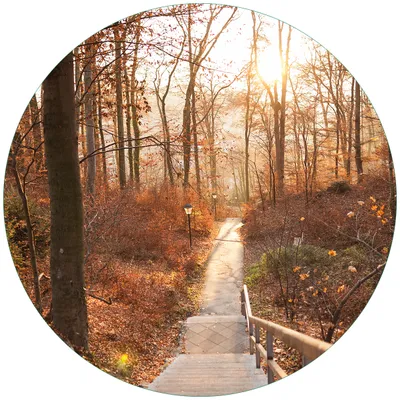 Produktbild von Wallario Premium Glasbild, freischwebende Optik, kräftige Farben, rund 50cm Durchmesser, Motiv Weg in den Sonnenuntergang