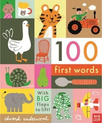 Productafbeelding van 100 First Words