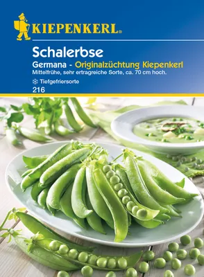 Produktbild von Kiepenkerl Schalerbse Germana