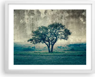 Produktbild von Gerahmtes Poster - Weißer Rahmen - Baum Natur Feld - 50x40 cm - Wand Bild - Wanddeko - Wandbilder - Kunstposter - Wandposter - Bilderrahmen - Bilder - Kunstdruck - Wandbild - P2WAA50x40-3627