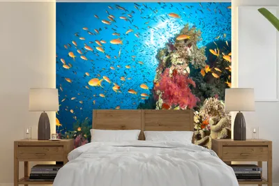 Produktbild von MuchoWow® Fototapete für Wohnzimmer oder Schlafzimmer Wandtapete Vinyl Motivtapete Koralle mit Fischen - 350x350 cm - Schlafzimmertapete