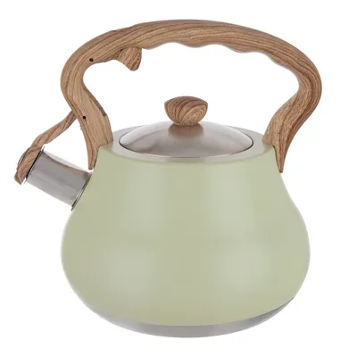 Zdjęcie produktu dla Czajnik z gwizdkiem stalowy GREENISH 3 l