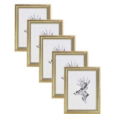 Produktbild von WOLTU 5er-Set Bilderrahmen, Artos Stil Holz Rahmen Glasscheibe Gold, 30x40cm