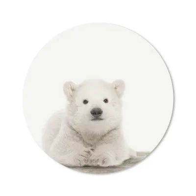 Produktbild von MuchoWow® Mauspad Mousepad Eisbär - Tiere - Kinder - Weiß - Jungen - Mädchen 20x20 cm - Mousepads - Maus Mat - Pad - Mausunterlage - Schreibtischmatte