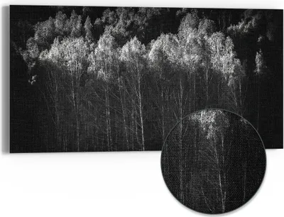 Produktbild von DEQORI Hybrid Leinwand Bild 60x30 cm 'Stille des Waldes' Wandbild Glas flach modern