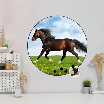 Produktbild von Design Stahlmagnettafel Schwarz Rund 47cm Pferd