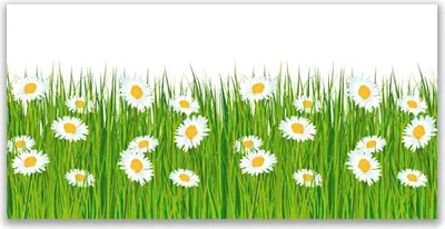 Produktbild von Glasbilder 120x60 Wandbild Druck auf Glas Gras Gänseblümchen Natur