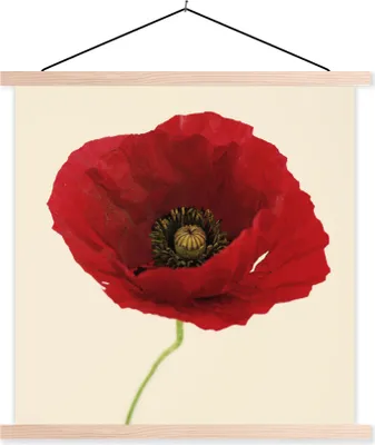 Produktbild von MuchoWow® Textilposter Nahaufnahme einer roten Mohnblume 40x40 cm mit holzfarbenen Rahmen - Posterleiste