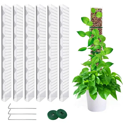 Productafbeelding van Transparante Mosstok Klimhulp voor Kamerplanten 61 cm Uitbreidbaar