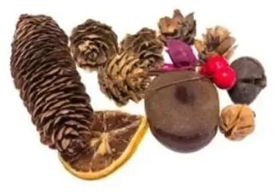 Immagine prodotto di Decorativo essiccato 30G