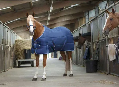 Immagine prodotto di Copertura per scuderia standard Riding World 198-150 cm 198-150 cm