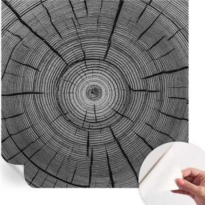 Produktbild von Selbstklebende Wandtapete - Dekorative Tapete für Wohnzimmer - Klebefolie für Wandbilder - Tapetenfolie für Wanddekoration - 250x250 cm - Harmonie des Waldes
