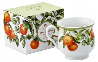 Productafbeelding van Porseleinen vatmok 470ml - SAPPIGE SINAASAPPELS, sinaasappels
