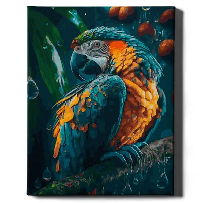 Produktbild von Oh Art! – Malen nach Zahlen Set – 40x50cm, mit Holzrahmen und Pinseln "Papagei" DIY
