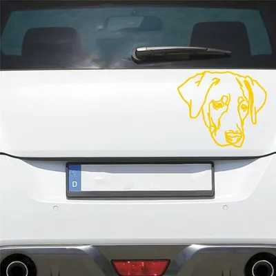 Produktbild von Auto Aufkleber Labrador LABI Labbi Hund Dog Hundekopf Hundefreund 15x13 cm Gelb Sticker Heckscheibenaufkleber