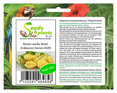 Zdjęcie produktu dla 100x Giant White Wild Strawberry Rośliny owocowe - Nasiona #109