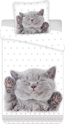 Produktbild von Kätzchen Katze - Wende-Bettwäsche-Set mit Kitten, 135x200 & 80x80