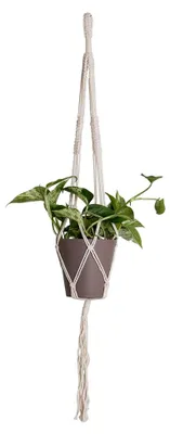Produktbild von Pflanzenhänger Macramé-Knoten Weiss 100 cm für Töpfe bis Ø 14 cm mit Aufhängehaken