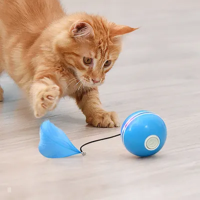 Produktbild von Katzenspielzeuge, Intelligentes Automatisches Rollende, mit LED-Licht, automatischer 360° selbst drehender, zum Trainieren des Indoor Spielens, blau