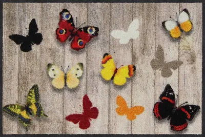 Produktbild von Salonloewe FINOLINO Fußmatte Wohnmatte 50 x 75 cm