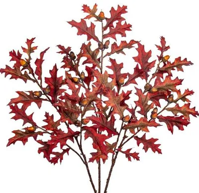 Immagine prodotto di Rami di quercia artificiali con ghiande e foglie autunnali, rosso scuro, confezione da 3