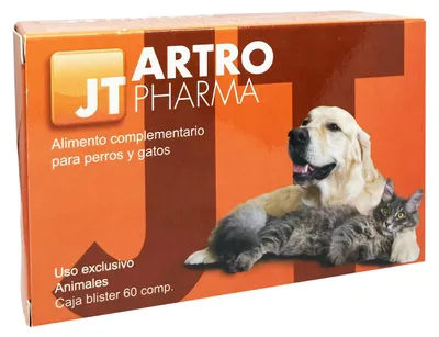 Artro Pharma 60 Kapseln, Nahrungsergänzung mit Vitamin C