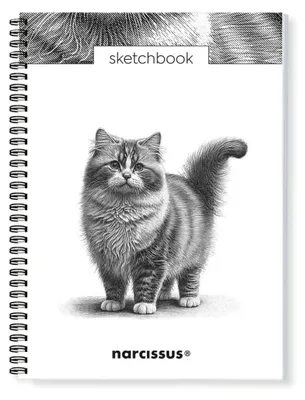 Produktbild von Skizzenbuch im A4-Format, 50 Seiten, gebunden mit Spiralbindung, Motiv: Katze