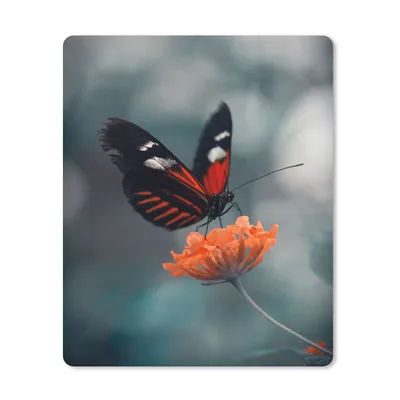 Produktbild von MuchoWow® Mauspad Mousepad Schmetterling - Blume - Insekt 19x23 cm - Mousepads - Maus Mat - Pad - Mausunterlage - Mauspads - Spielen