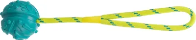 Produktbild von TRIXIE Aqua Toy Ball am Seil, schwimmt, Naturgummi, Ø 7 / 35 cm