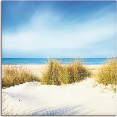 Produktbild von ARTland Leinwandbild Gras auf Sanddünen Größe: 70x70 cm