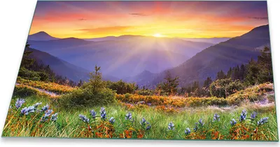 Produktbild von Herdabdeckplatte Glaskeramik Spritzschutz Glas Universal Deko 80x52 Landschaft Bunt