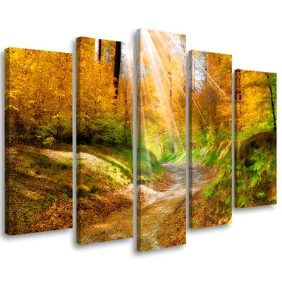 Produktbild von 5-teiliges leinwandbild wald herbst natur 200x100 cm Feeby orange wandbild bereit zum aufhängen