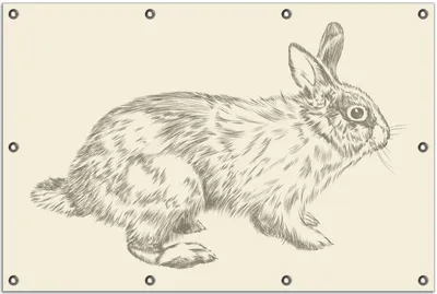 Produktbild von Wallario Outdoor-Poster für Garten oder Balkon, Motiv Hase als illustrierte Bleistiftzeichnung, in ca. 80 x 120 cm