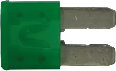 Immagine prodotto di Micro2 Fusibile 30A