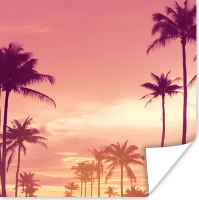 Produktbild von MuchoWow® Poster Himmel - Palme - Abend - Natur - Tropisch 100x100 cm - Babyzimmer