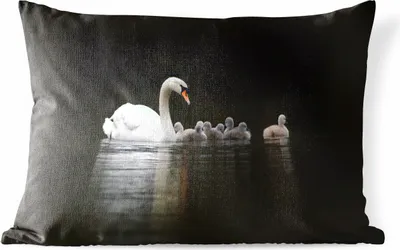 Produktbild von MuchoWow® Outdoor Kissen - Vögel - Schwan - Küken - 50x30 cm - Wetterfest - Lounge Kissen - Sofa kissen - Wohnzimmer Dekoration