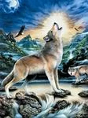 Produktbild von Diamond Painting Vollbild 30x40cm mit eckigen Steinen
